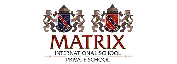 Matrix International School