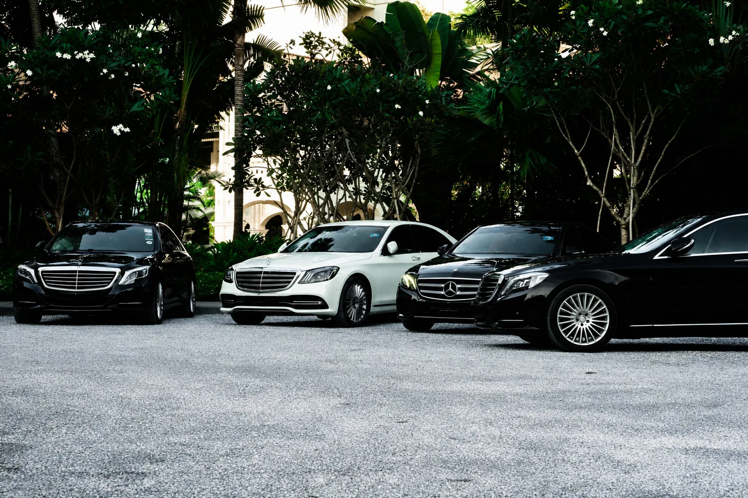 Mercedes-Benz S-Class fleet from the MAHA EMPIRE Car Rental collection Mercedes-Benz S-Class fleet from the MAHA EMPIRE Car Rental collection